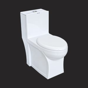 Adonis Monoblock Toilet