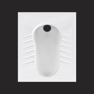 Arian Asian Toilet