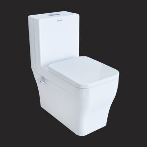 Arta Monoblock Toilet