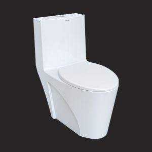 Avina Monoblock Toilet