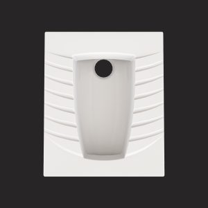 Avina Asian Toilet