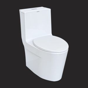 Avisa Monoblock Toilet