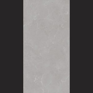 Bergamo 120x60 Light Gray Porcelain Nano-Polish