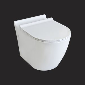 Concept Wall Hung Toilet