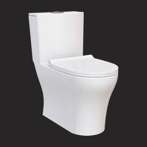 Concept Monoblock Toilet