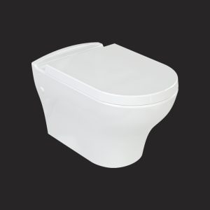 Daphne Wall Hung Toilet