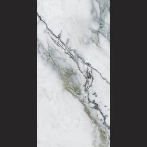 Dinara 120x60 Green Porcelain Nano-Polish