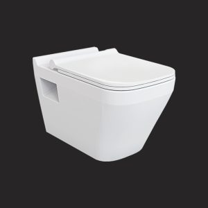 Fittonia Wall Hung Toilet