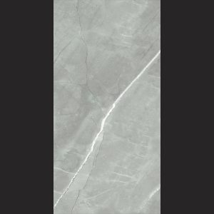 Laanda 120x60 Light Gray Porcelain Matte