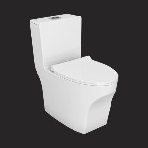 Linda Monoblock Toilet