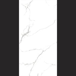 Silva 120x60 Porcelain Nano-Polish