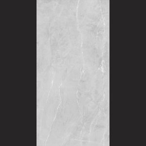 Stone Tech 120x60 Light Gray Porcelain Hard-Matte