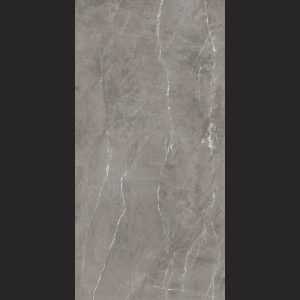 Stone Tech 120x60 Dark Gray Porcelain Hard-Matte