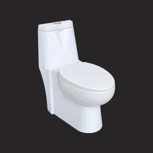 Tavoos Monoblock Toilet
