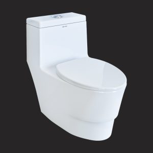 Victoria Monoblock Toilet