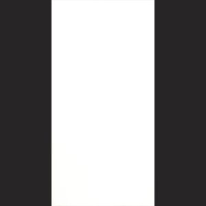 Plain White 30x60 Glossy