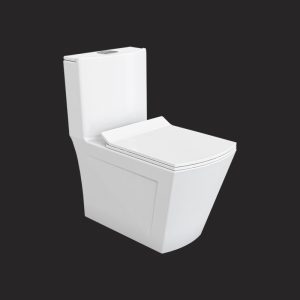 Veronia Monoblock Toilet